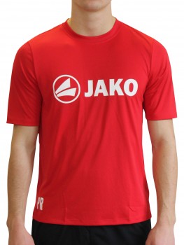 1.FC ALEMANNIA TRAININGSSHIRT | yam yam world