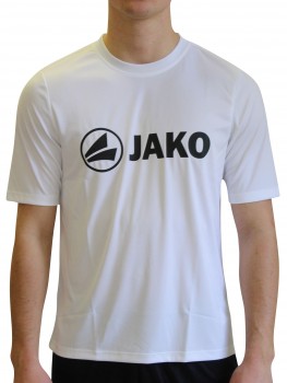 1.FC ALEMANNIA TRAININGSSHIRT | yam yam world