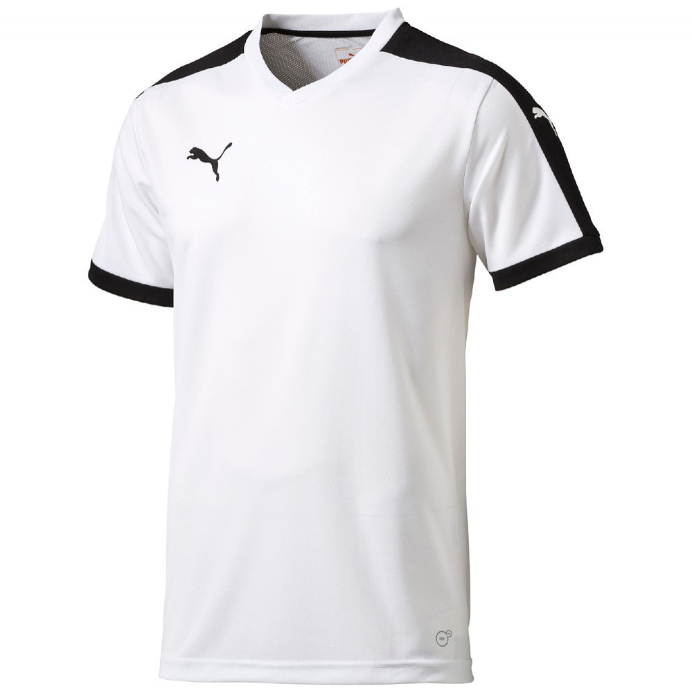 Puma pitch trikotsatz 2025
