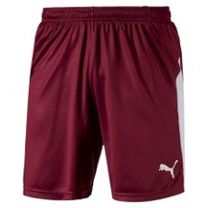 Puma LIGA SHORTS SHORT rot