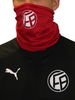 1.FC 08 BIRKENFELD MULTI MUND-NASENSCHUT