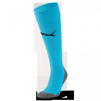 Puma TEAM LIGA SOCKS CORE STUTZENSTRUMPF blau