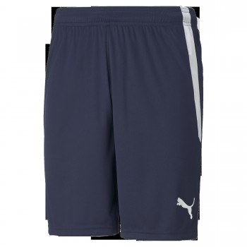 Puma 704924 SHORT blau