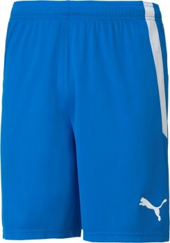 Puma 704931 SHORT blau