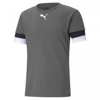 Puma 704938 TRIKOT grau