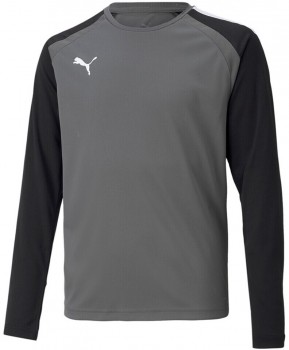 Puma 704939 TRIKOT grau