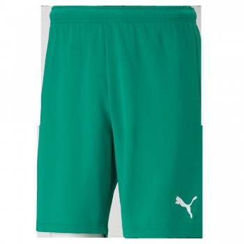 Puma 704943 SPORTHOSEN gr�n