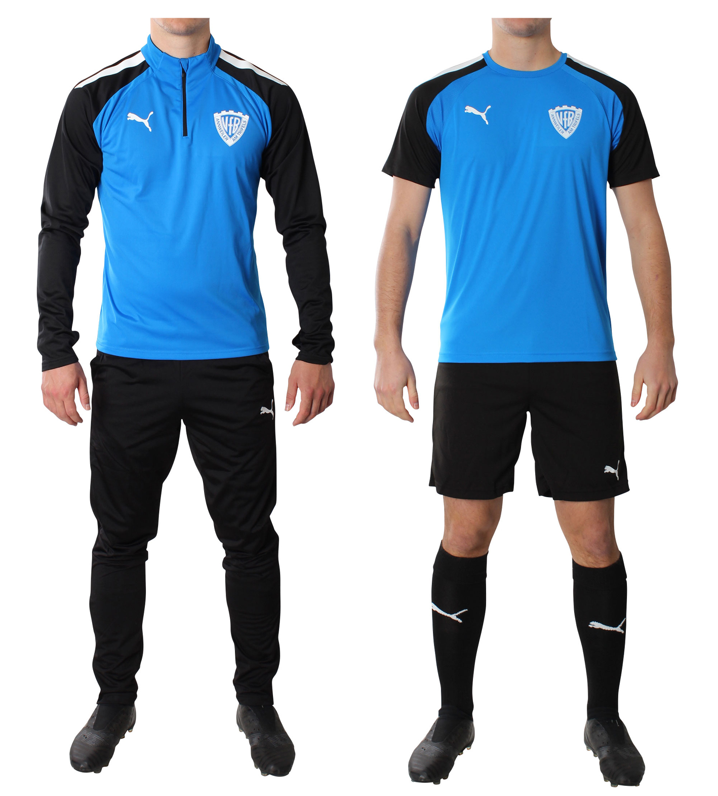 VFB ANNWEILER TRAINING SET