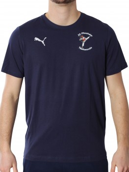 TEAMSHIRT TEAKWONDO KINDER
