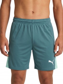 Puma 706555 SPORTHOSEN