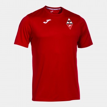 TB DILLWEISSENSTEIN LT SHIRT HERREN