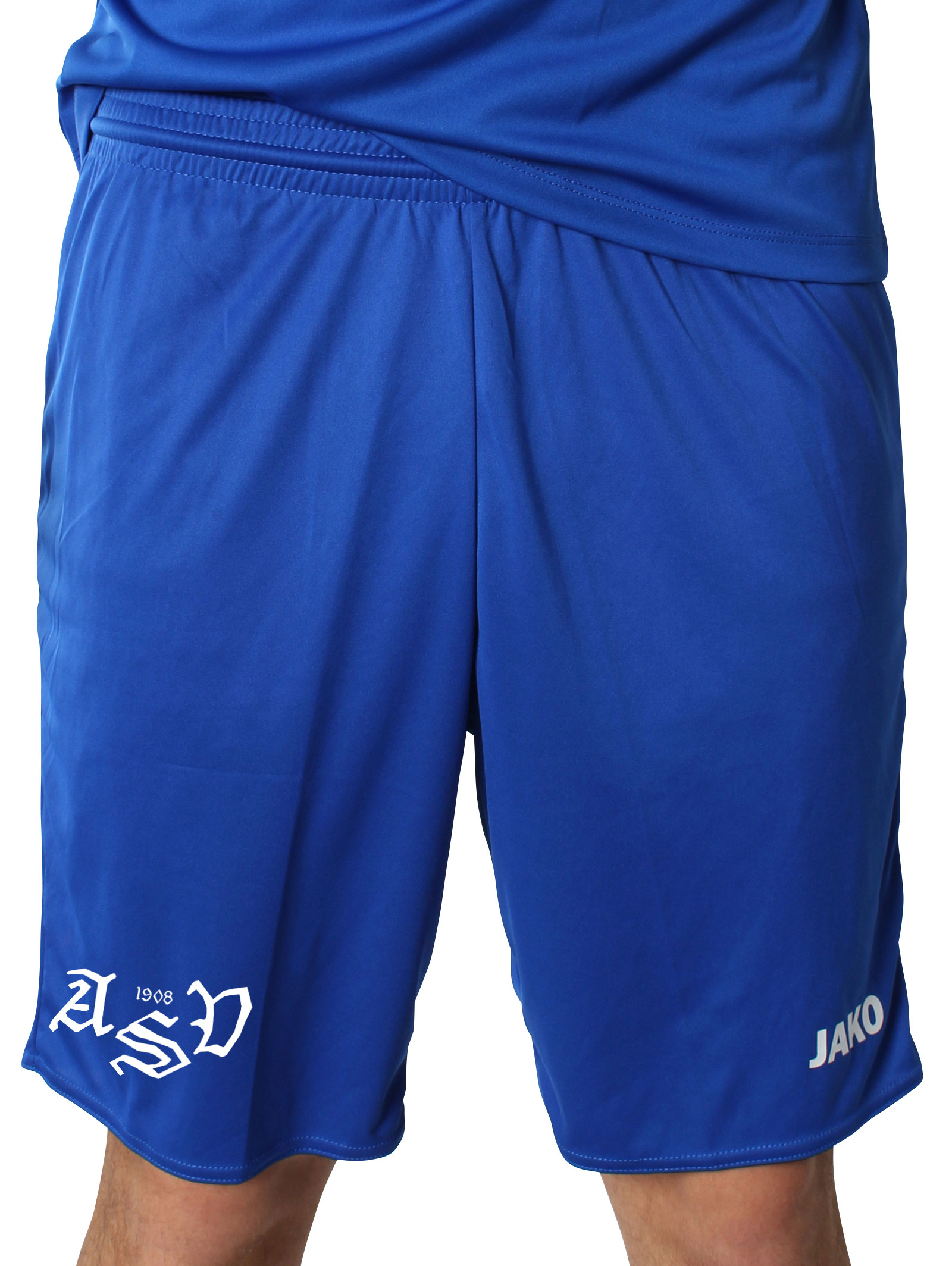 ASV ARNBACH TRAININGSSHORT | yam yam world