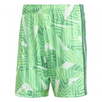 Adidas KC5346 SHORT gr�n | yam yam world