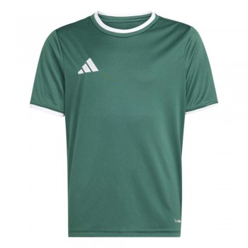 Adidas KE9834 TRIKOT ENTRADA 26 gr�n | yam yam world