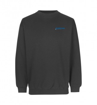 DAMSTAHL SWEATSHIRT UNISEX | yam yam world