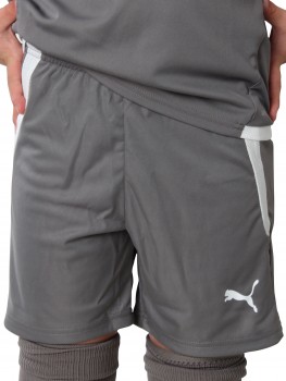 FV MUGGENSTURM AUSW�RTS-TRIKOT SHORT ERW | yam yam world