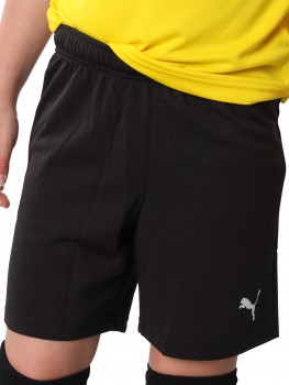 FV MUGGENSTURM HEIMTRIKOT SHORT | yam yam world