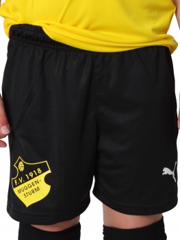 FV MUGGENSTURM TRAININGSSHORT | yam yam world