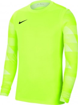 Nike TORH�TER TRIKOT PARK IV F�R KINDER TORWARTTRIKOT gr�n