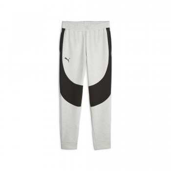 Puma 676639 TRAININGSHOSE grau | yam yam world