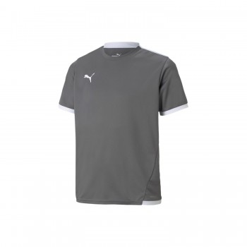 Puma 704925 TRIKOT grau | yam yam world