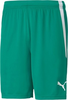 Puma 704931 SHORT gr�n | yam yam world