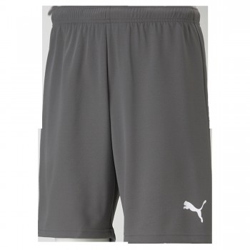 Puma 704942 SPORTHOSEN grau | yam yam world