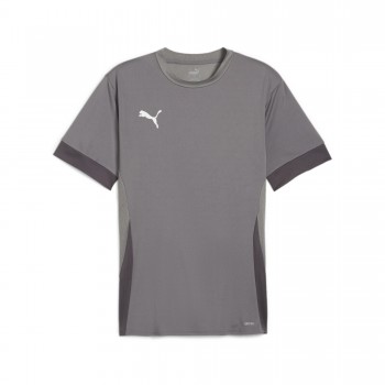 Puma 705747 KURZARM TRIKOT GOAL grau | yam yam world