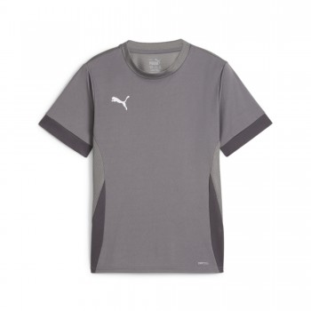 Puma 705748 KURZARM TRIKOT GOAL grau | yam yam world