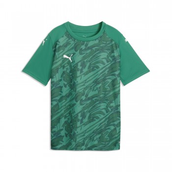 Puma 706537 KURZARM TRIKOT FINAL 26 GRAPHIC gr�n
