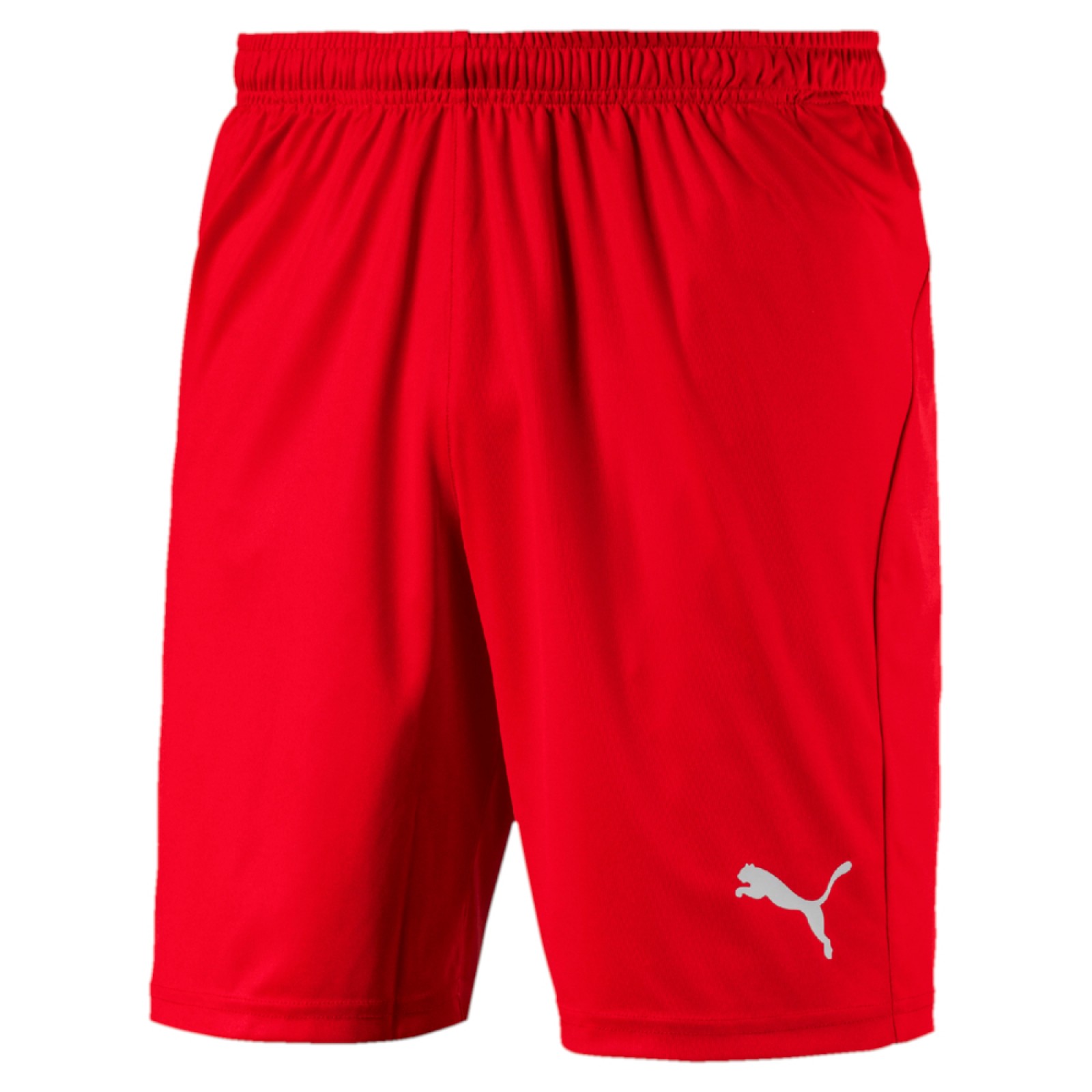 Puma LIGA SHORTS CORE SHORT rot