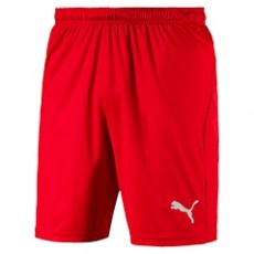 Puma LIGA SHORTS CORE SHORT rot | yam yam world