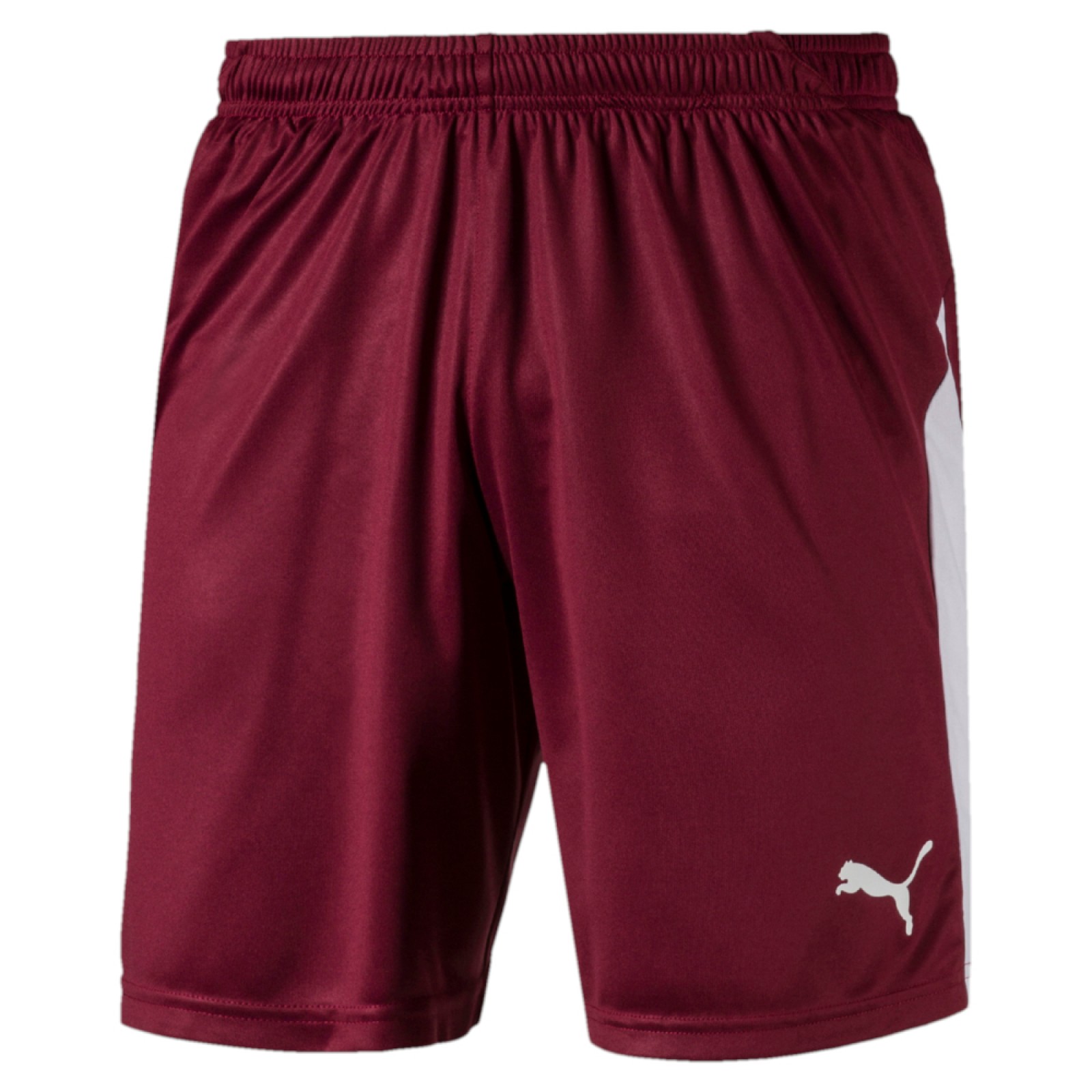 Puma LIGA SHORTS SHORT rot