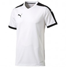 Puma PITCH TRIKOT weiss | yam yam world