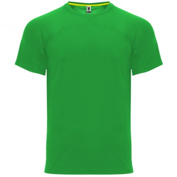 Roly CA6401 T-SHIRTS gr�n | yam yam world