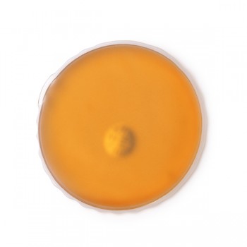 STAMINA BW1850 GESUND- UND SCH�NHEI orange | yam yam world