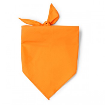 STAMINA PN1734 SCHALS orange | yam yam world