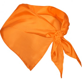 STAMINA PN9003 SCHALS orange | yam yam world