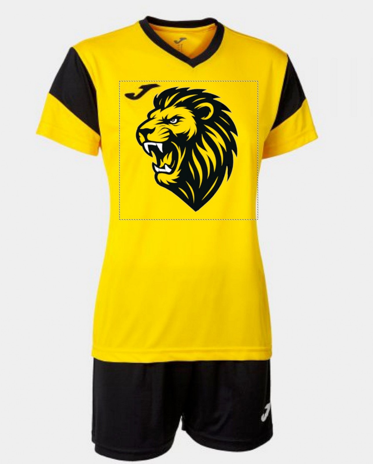 SV LEONBERG VOLLEYBALL SET