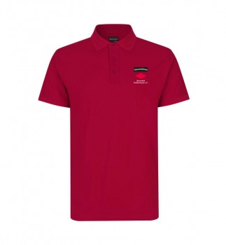 SWV BIRKENFELD FUNKTIONSPOLO H-V | yam yam world