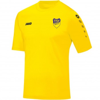 TSV HEIMSHEIM �BUNGSLEITER SHIRT | yam yam world