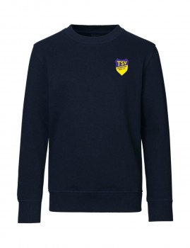 TSV HEIMSHEIM PULLOVER KINDER | yam yam world